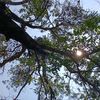 arcloudx