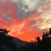 felixmartinez029