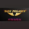 pegasusrennes1