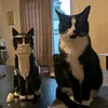 hubert.lover55