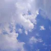 bbvcdbnnj
