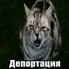 rememberrus34
