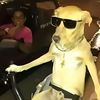 mr.inbetweenit2093