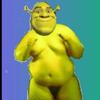 shrek_lover010