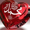 sayed54510