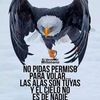 zolhuanca