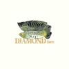 diamond_farm08