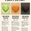 fatimahzahra330