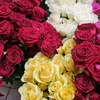 floricultura.regina