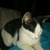 lilyloo1230