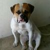 charliebeaches808