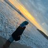 rann_516