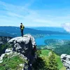 zinkduzink