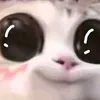 mbhmup
