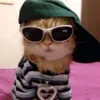 _pjoterere_