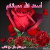 6il21hh