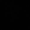 agha_293