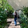 sedangkosong_