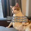 dy0abdbc7fsq