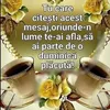 eugeniavintila0