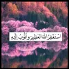 parwinmajed0