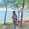 Pinguin ucul