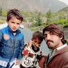 saeedshah561