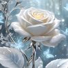mashalla123456789