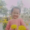 b.bng50