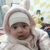 bachirbachirbachi2