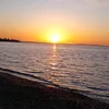 _mira494