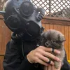 azzknow