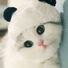 user1996031152036