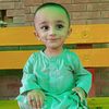 sajidalijunaidi493