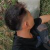 ardol_