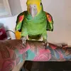 wydziaranaspektrummama