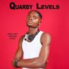 quarbylevels2