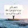 x6wqw