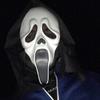 ghostfacebrink