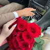 kamal_9561