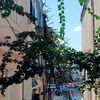 dinaargui