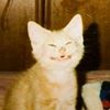 meowwfavboyy