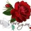 rosadelcarmena
