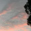zakariabenali019x