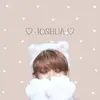 shua17___