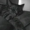 ruslan747701