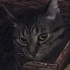 seabass1995