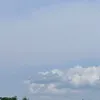 yasai129