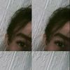 ivndl_