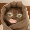 user125608762006